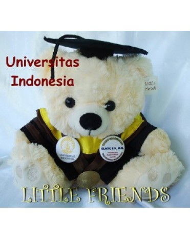 Boneka Wisuda Universitas Indonesia - S2 - Kajian Amerika (30 cm)